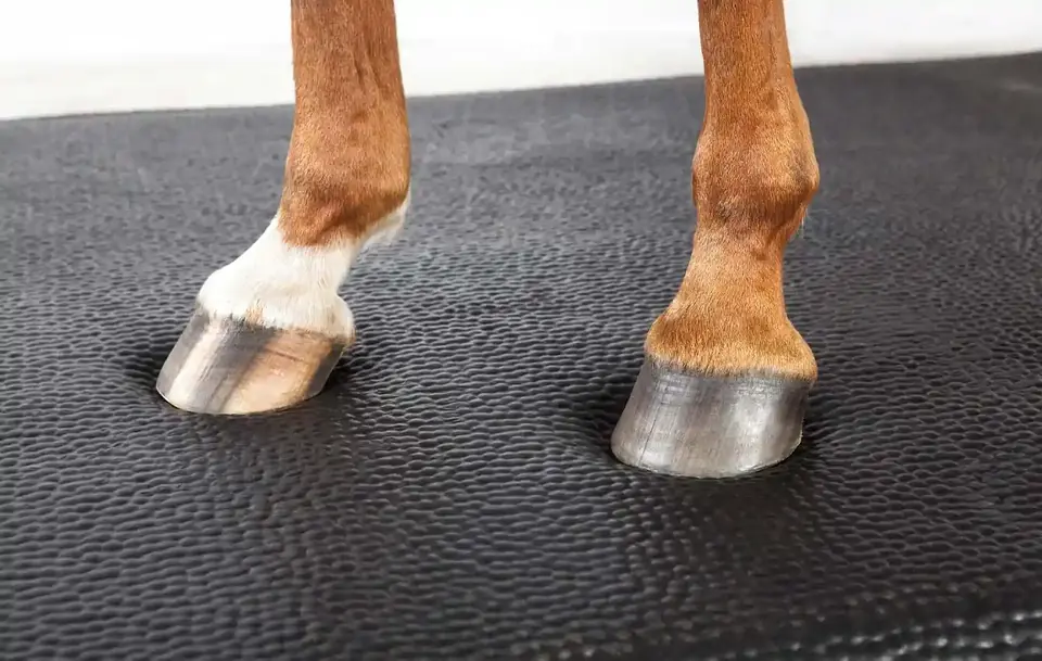 Konjska kopita na mekoj površini ležišta HIT Comfort