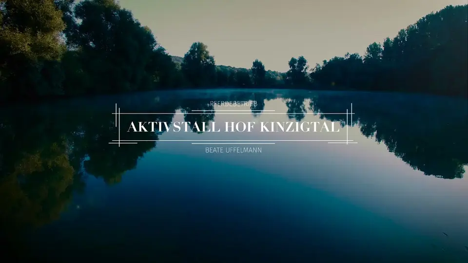 Kako funkcionira koncept HIT-Aktivstall